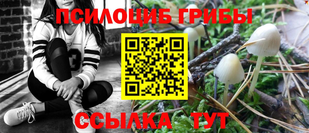 Нижнекамск  купить наркотик  Вход с VPN  Псилоцибиновые грибы прущие грибы 